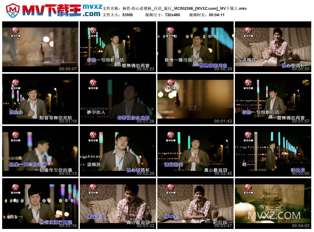 杨哲-伤心看酒杯_台语_流行_MC502398